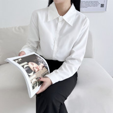 빅카라 화이트셔츠남방